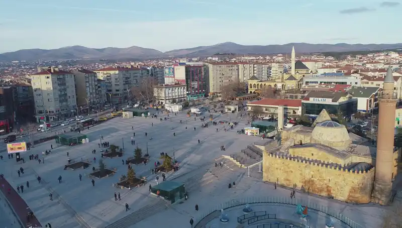 Kırşehir’de Keşfedilen Yeni Böcek Türü, Bilim Dünyasını Şaşırttı