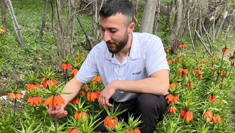 Ağlayan Gelin: 20 Günlük Yaşamı ve Yüksek Cezasıyla Dikkat Çekiyor