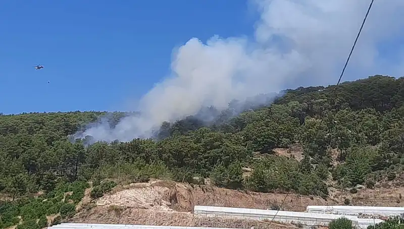 Kumluca’da Yangın Faciası: Orman Alanları Tehdit Altında