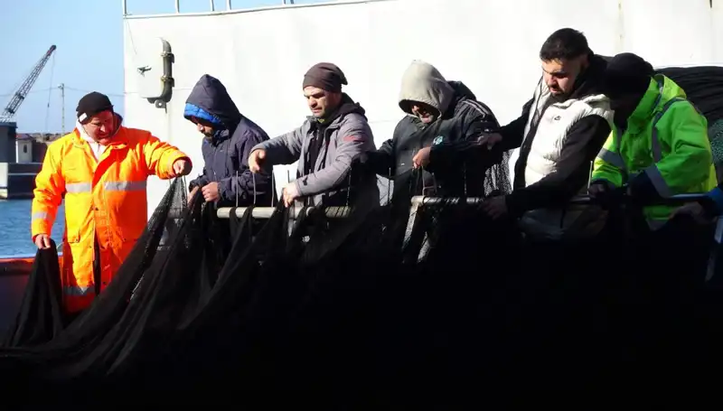 Hamsi Avında Şok Gelişme: Balıkçılar Tekne Saldırılarına Erken Veda Etti