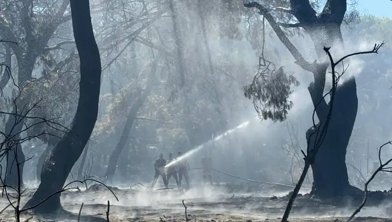 Çanakkale, Antalya ve Hatay'daki Yangınlar Kontrol Altına Alındı: Son Durum Ne?