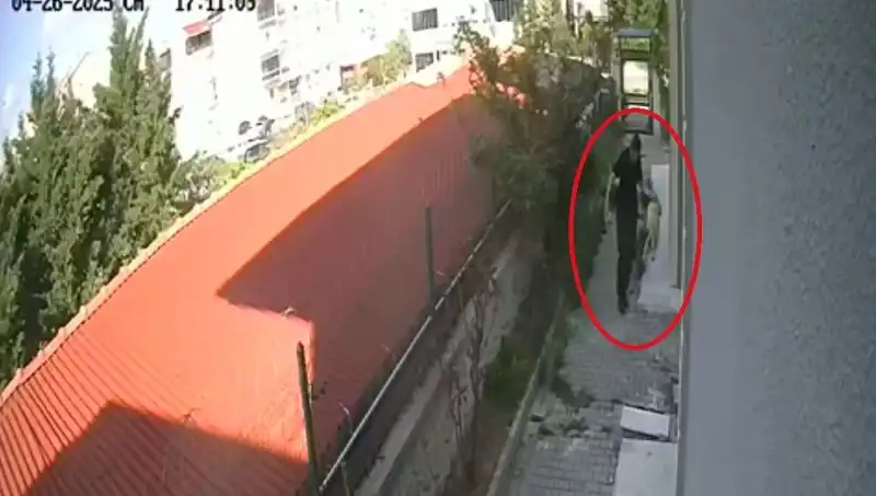 Veteriner Doktor, Sahiplendiği Köpekleri Öldürdü: Gözaltında!