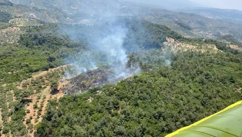 Aydın’da Kontrol Altına Alınan Orman Yangını: Doğa Koruma Mücadelesi