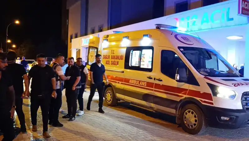 Kardeşiyle Kavga Eden Genç, Yüzde Üzerinden Ceza Aldı!
