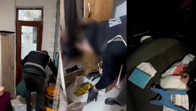 Hayvan Sevk Belgesi Usulsüzlüğünde Büyük Operasyon: Dokuz Kişi Gözaltına Alındı