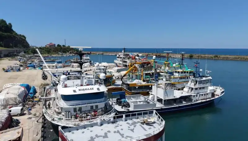 Karadeniz'de Doğa Tutkunları İçin 1 Eylül'e Geri Sayım Başladı