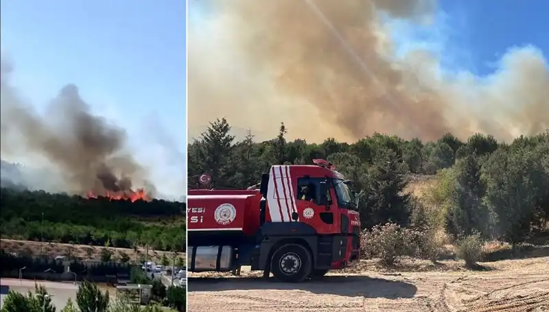 Gebze'de Korkutan Orman Yangını: Ekipler Seferber Oldu