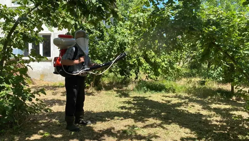 Çiftçinin Umut Işığı: Kükürt ve Samuray Arısı ile Mücadele