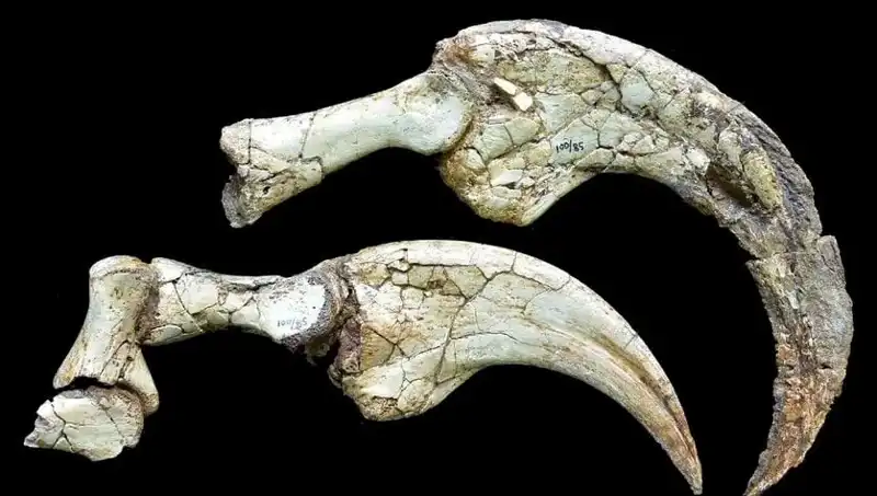 Gobi Çölü'nde Sıra Dışı Bir Keşif: Yeni Dinozor Türü Ortaya Çıktı!