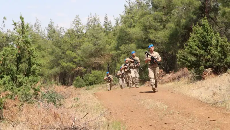 Kilis'te Orman Yangını Denetimi: Zararları Önlemek İçin Önlemler Alınıyor