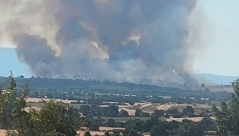 Komşu Ormanda Patlayan Yangın, Edirne'yi Duman Altında Bıraktı