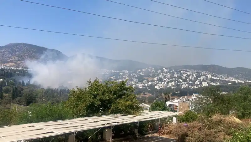 Muğla'daki Orman Yangınları Kontrol Altına Alındı, Doğa Yeniden Canlanıyor