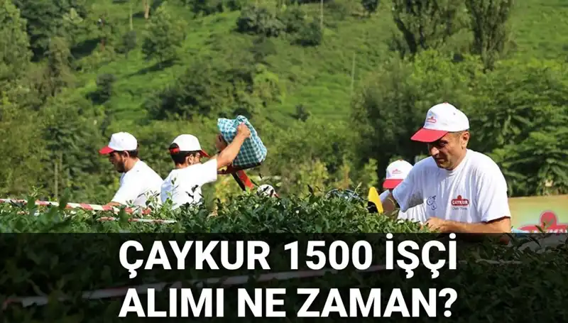 Çaykur İşçi Alımı Başvuruları Ne Zaman Başlayacak? Son Durum!