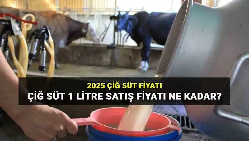 Çiğ Süt Fiyatları 2025’te Ne Olacak? Tüketiciler Dikkat!