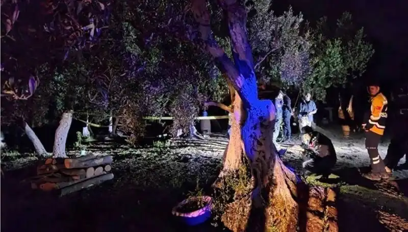 Çiftlikteki Baltalı Vahşete Son: İki Şüpheli Gözaltına Alındı