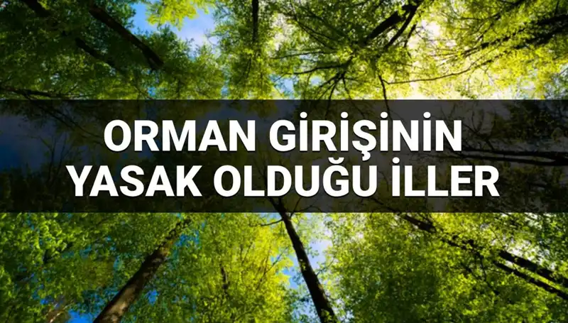 2025'te Ormana Giriş Yasağı Uygulanan İllerin Tam Listesi