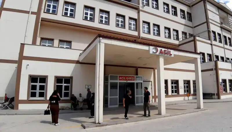 Bolu'da Avlanma Tartışmaları: Ayı Avı Kararı Ne Anlama Geliyor?