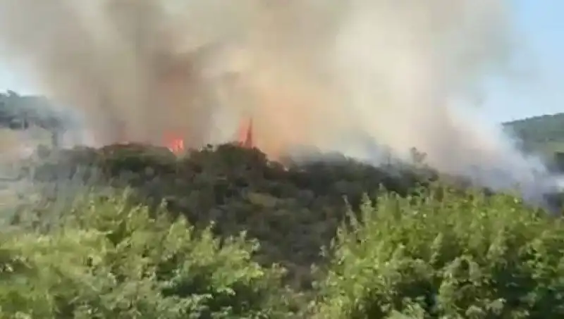 İstanbul'daki Orman Yangını: Acil Tahliye ve Kurtarma Çalışmaları