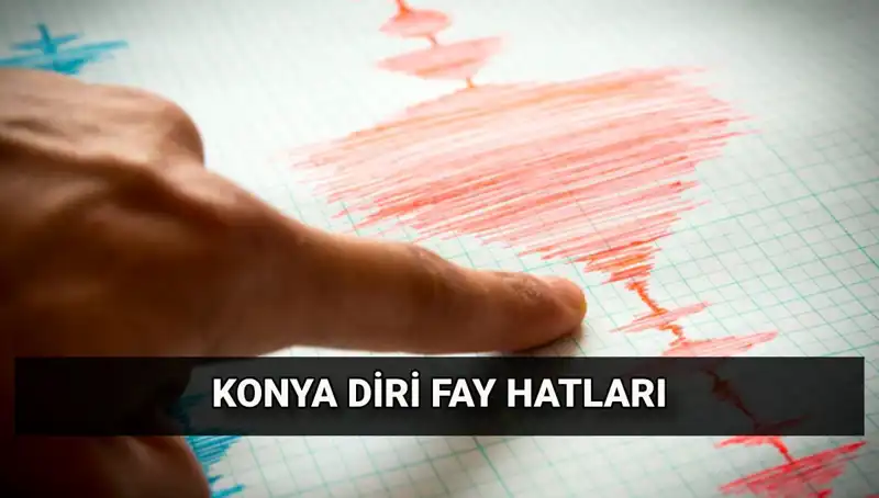 Konya'da Fay Hattı Var mı? Deprem Riski Hakkında Bilinmesi Gerekenler