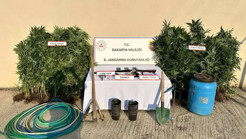 Sakarya'da Uyuşturucu Operasyonu: 1 Kişi Tutuklandı, Ayrıntılar Ortaya Çıktı