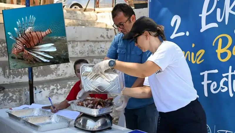 Antalya'da İstilacı Aslan Balığı Avlama Yarışması ile Eğlence ve Bilinçli Avcılık Bir Arada