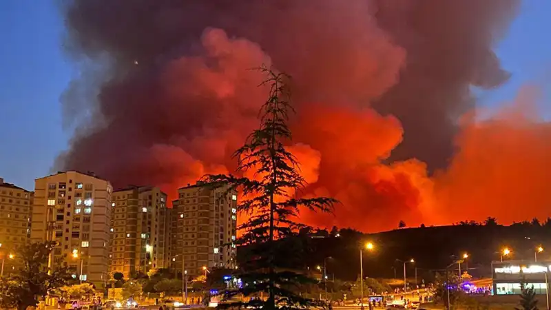 Bursa'da Yangın Alarmları: Kent Genelinde Yoğun Mücadele Başladı