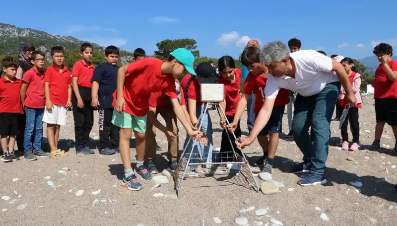 Kemer'de Caretta Caretta Koruma Yasakları Başladı: Plajlar Kapatıldı