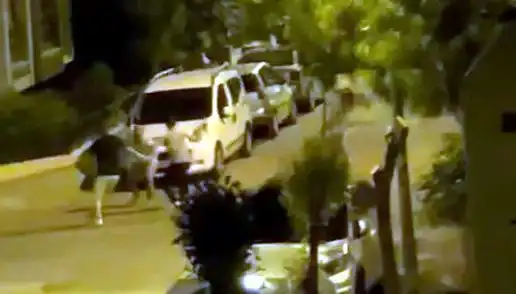 Avcılar’da Üç Kişiden Saldırıya Uğrayan Vatandaşın Kurtuluş Hikayesi