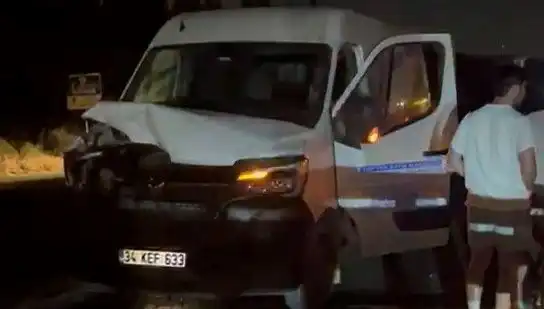 İstanbul'da Manda Kazası: Üç Kişinin Yaralandığı Olayda Neler Oldu?