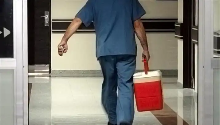 Organ Bağışında Devrim: e-Devlet ve e-Nabız ile Kolaylıklar