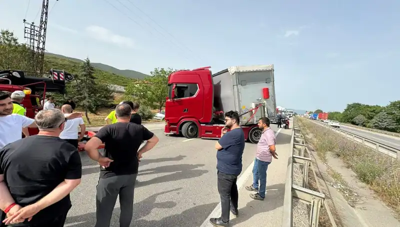 Seyir Halindeki Araçta Arı Soktu: Trafik Kaosu Ortaya Çıktı