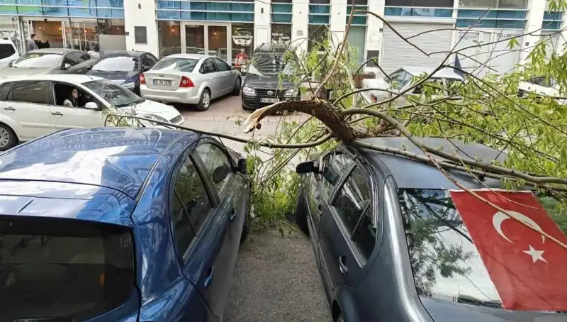 Kayseri'yi Vurdu: Kıran Kıran Fırtına Dalları Devrildi